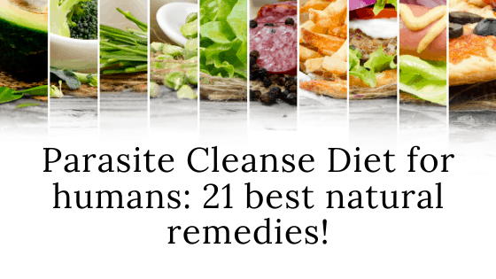 Parasite Cleanse Diet for humans: 21 best natural remedies!