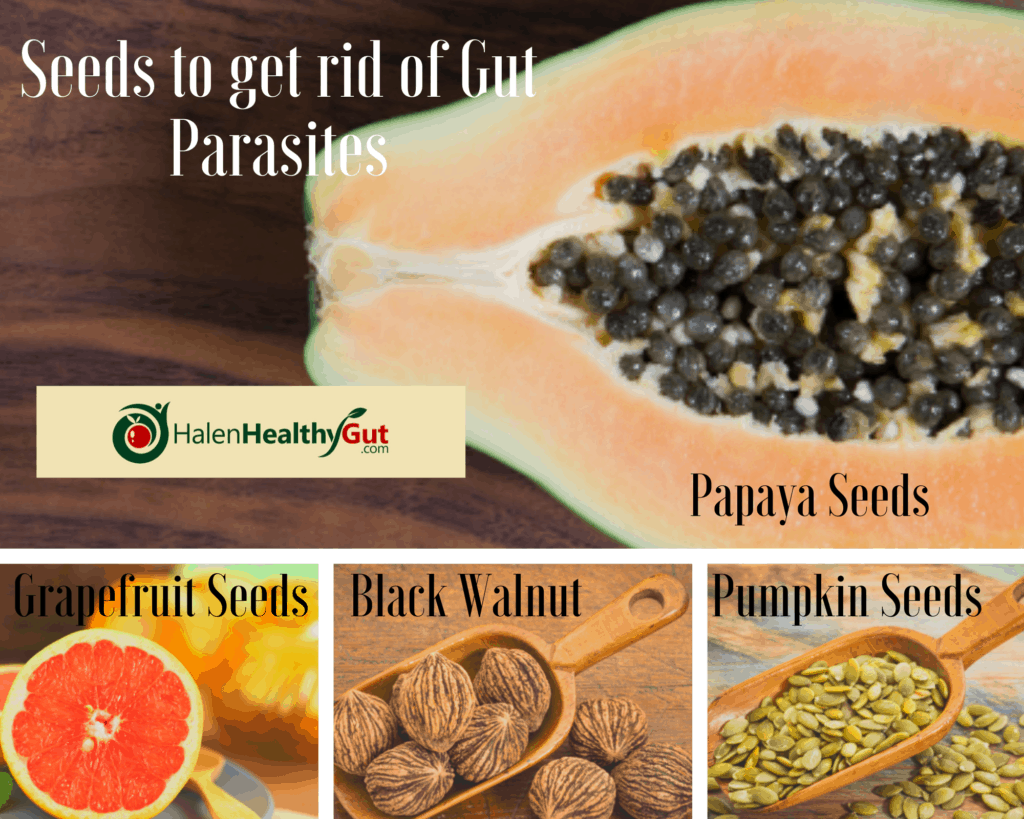 Seeds to get rid of Gut Parasites 1 1024x819 - Parasite Cleanse Diet for humans: 21 best natural remedies!